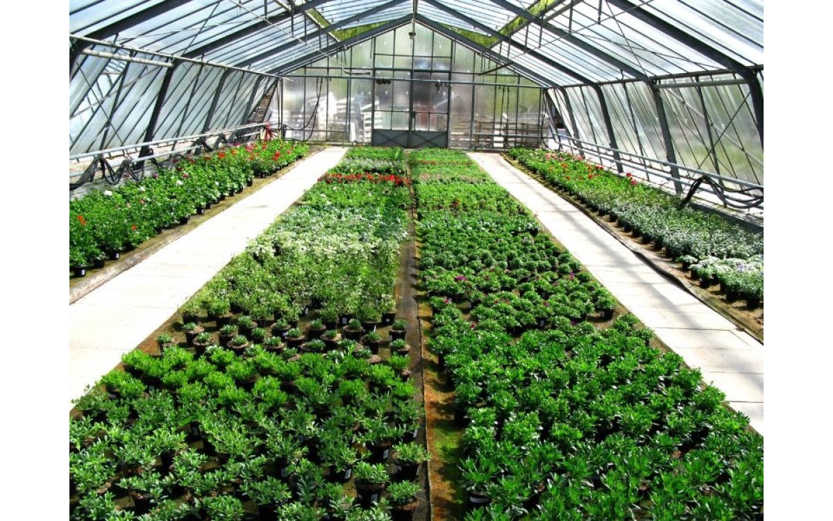 Cải thiện độ bền của m&agrave;ng nh&agrave; k&iacute;nh